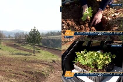 posumljavanje-jeljena-discover-serbia