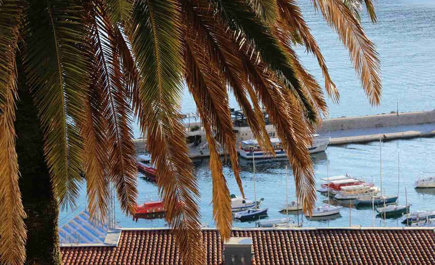 • N2 portal palma-more-camci