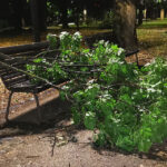 nevreme-oluja-cacak-foto-nenad-nesovic-n2 (1)