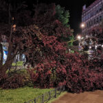 nevreme-oluja-cacak-foto-nenad-nesovic-n2 (2)