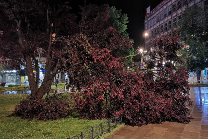 nevreme-oluja-cacak-foto-nenad-nesovic-n2 (2)