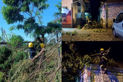 olujno-nevreme-u-srbiji-vatrogasci