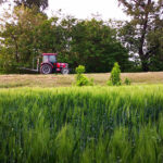 traktor-psenica-foto-nenad-nesovic-n2