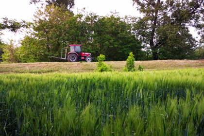 traktor-psenica-foto-nenad-nesovic-n2