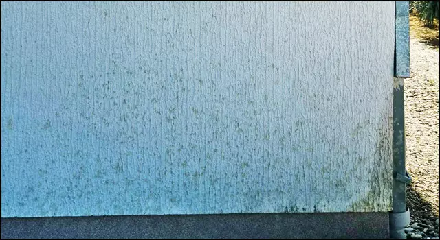 prijevor-izbusena-fasada-kuce