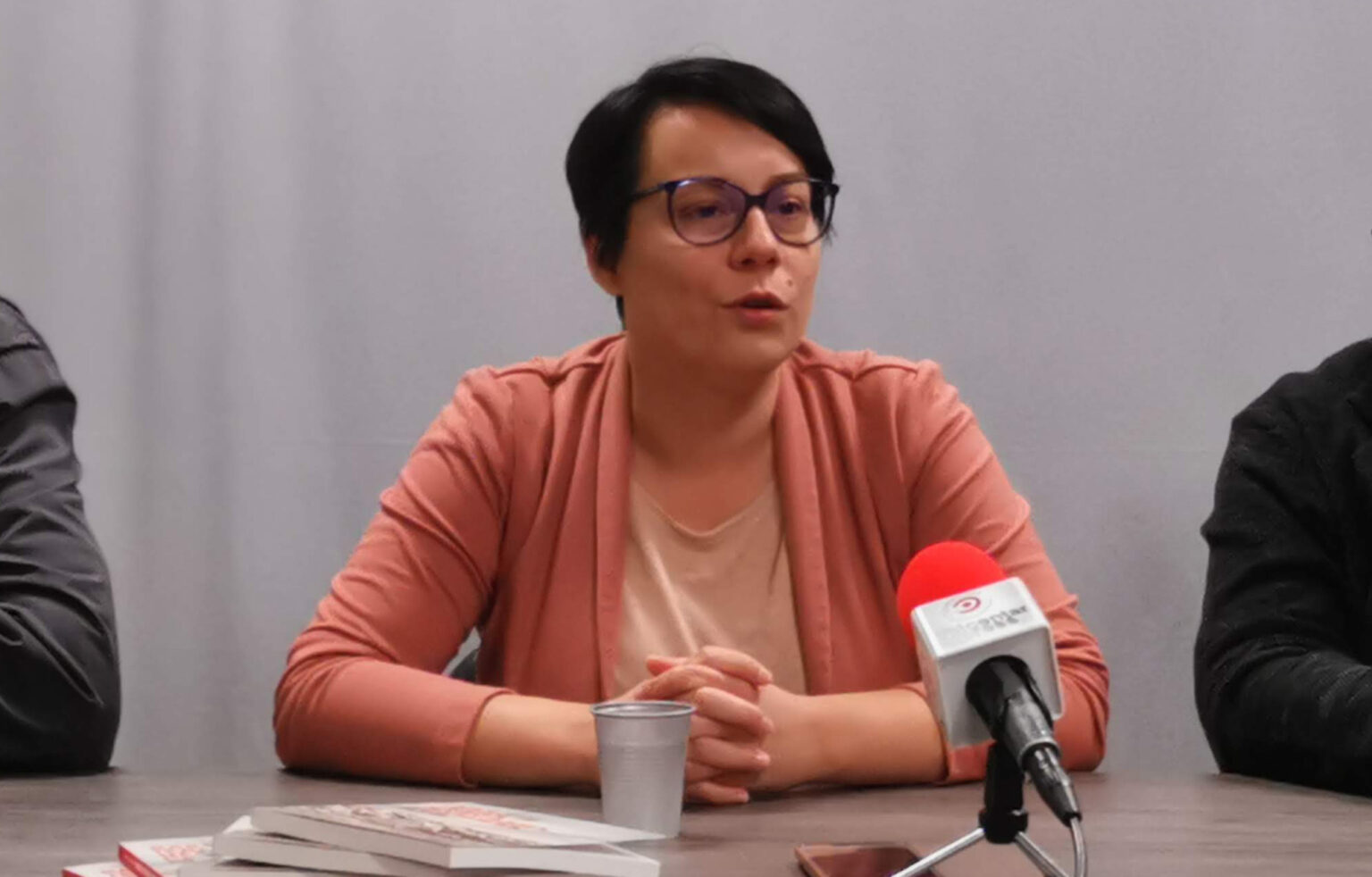 maja-stojanovic-gradjanske-inicijative-foto-nenad-nesovic-n2