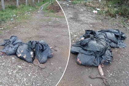 slobodin-parking-bacene-zivotinjske-iznutrice-1