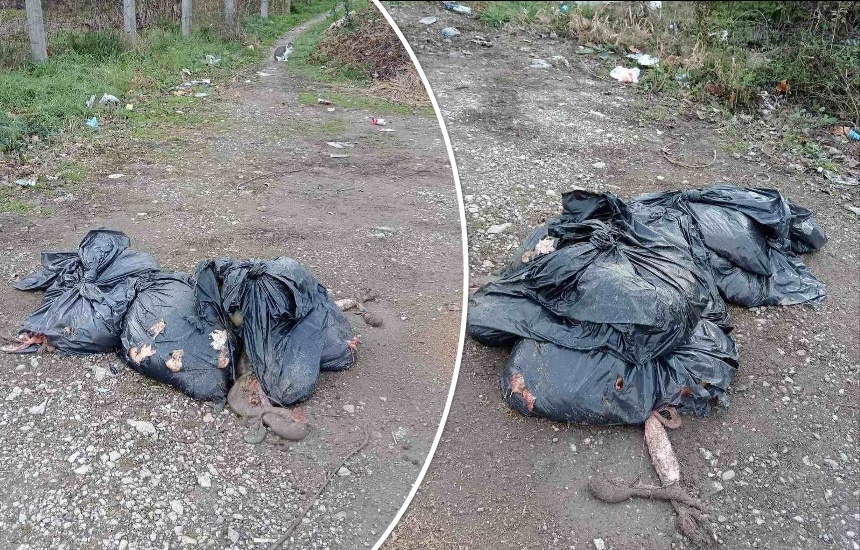 slobodin-parking-bacene-zivotinjske-iznutrice-1