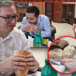 vucic-momirovic-mali-parizer