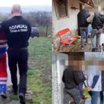 armagedon-pedofili-hapsenje