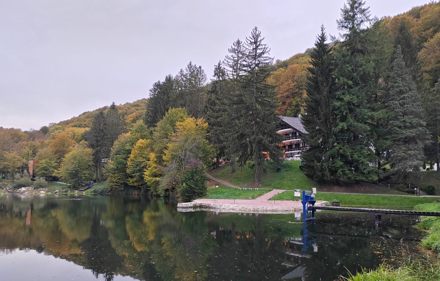 jastebac-suma-jezero-foto-nenad-nesovic-n2
