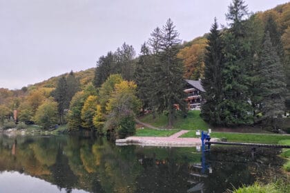 jastebac-suma-jezero-foto-nenad-nesovic-n2