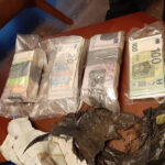 kriminalna-grupa-danska-srbija (1)