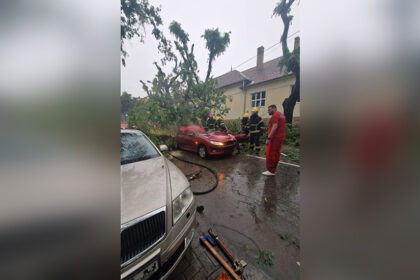 nevreme-sombor-ostecen-automobil