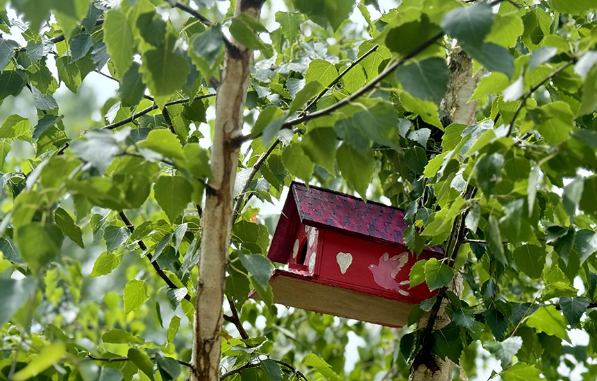 suncani-vrt-diverziteta-u-cacku-3