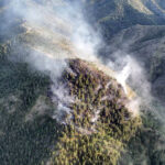 kopitnjak-raska-pozar-suma