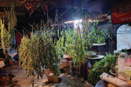 laboratorija-za-uzgoj-marihuane-okolina-cacka-1