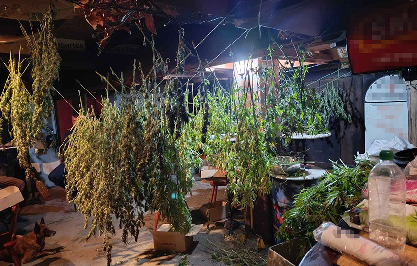 laboratorija-za-uzgoj-marihuane-okolina-cacka-1