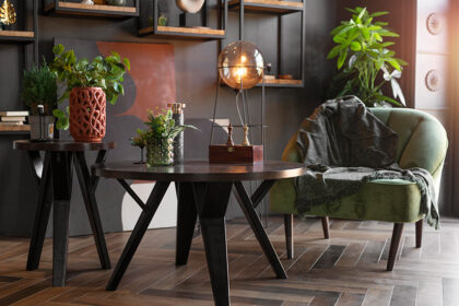 stan-dekoracija-stolovi-fotelja