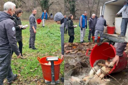 poribljavanje-jezero-medjuvrsje