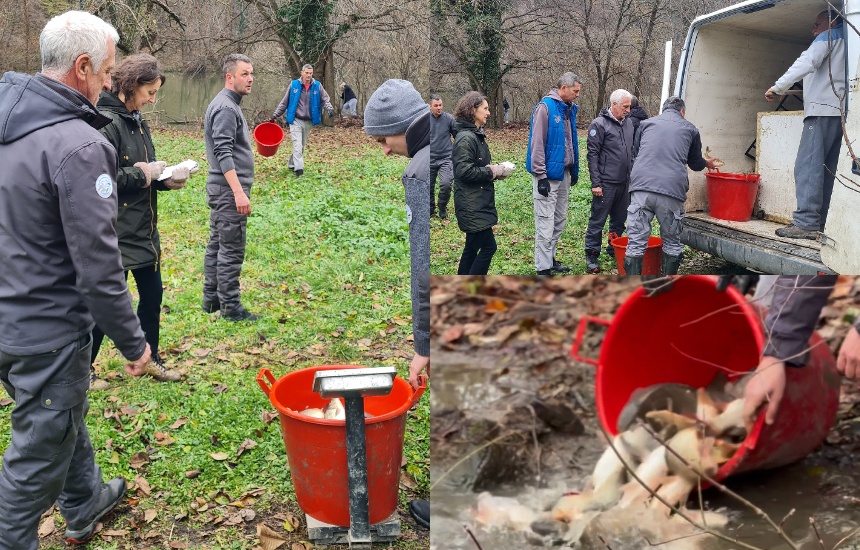 poribljavanje-jezero-medjuvrsje