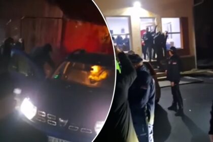 predrag-terzic-gradonacelnik-kraljeva-gadjanje-jajima-cvetke