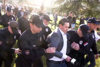 hapsenje-nemanje-sarovica