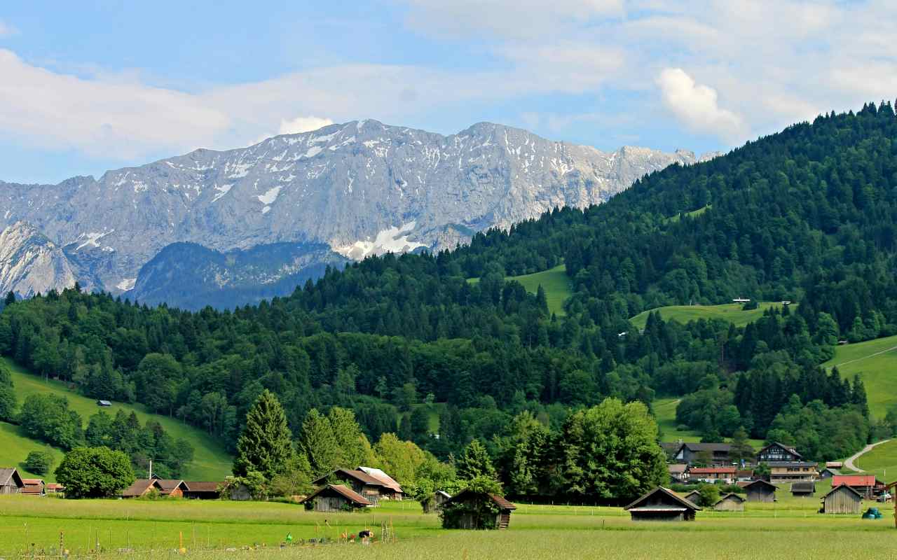 Planina i priroda sa šumom