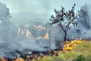 Požar nad objektom