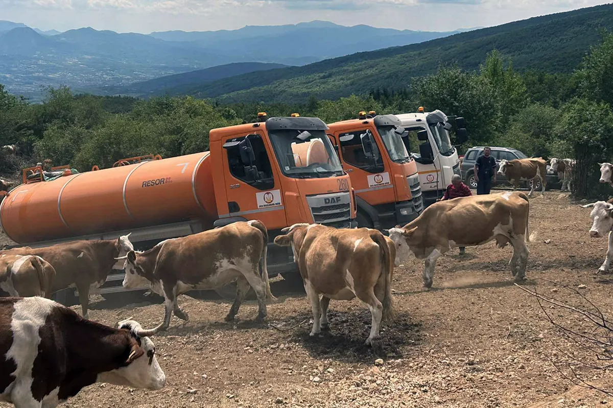 Stigle cisterne sa vodom za stoku na Suvoj planini
