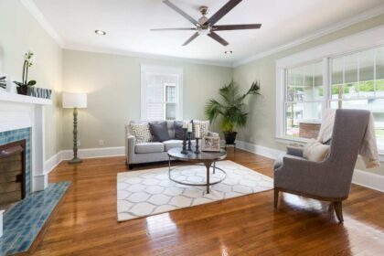 Komforna, svetla, renovirana dnevna soba