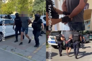 Priveden Miša Bačulov