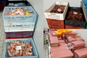 Zaraženo pileće meso salmonelom