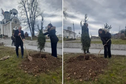 Sadnja stabala kod crkve u Atenici