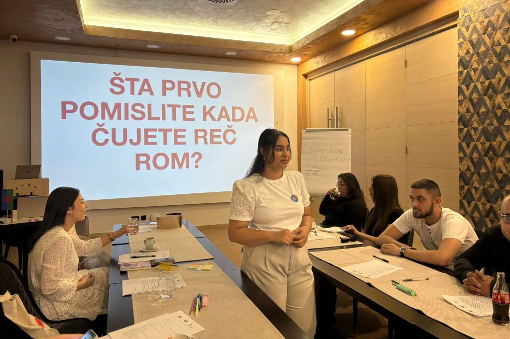 Maja Simić ROMS