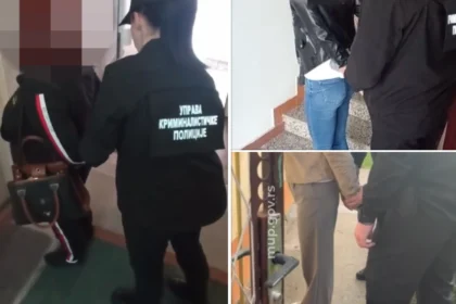 Hapšenja zbog falsifikovanja diploma