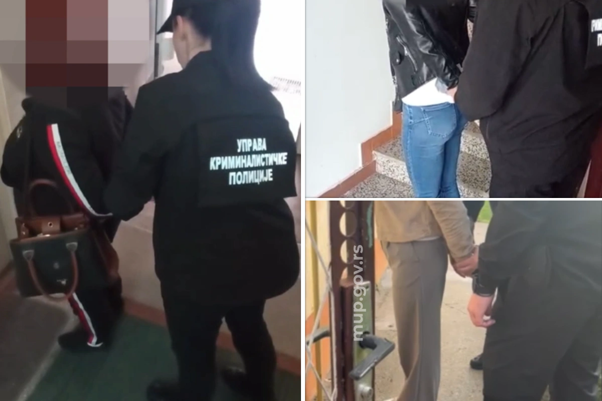 Hapšenja zbog falsifikovanja diploma