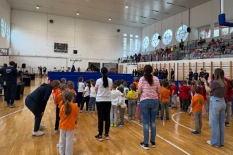 Liga malih šampiona