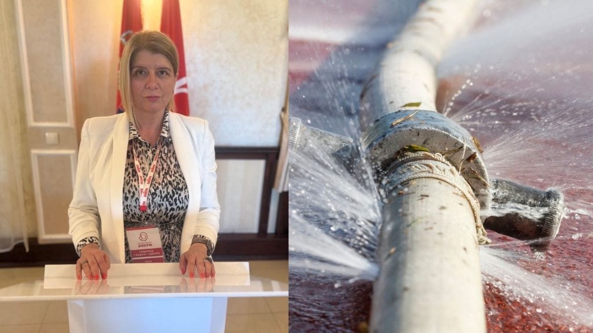 • N2 portal Gordana Marinković Savović