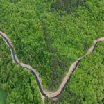 Aerial view of a long, winding dark road or barrier cutting through dense green forest with small clearings nearby.