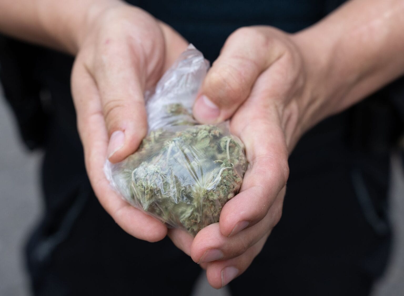 • N2 portal Marihuana