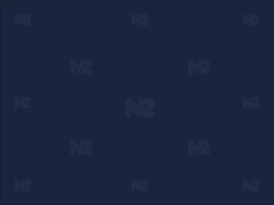 N2