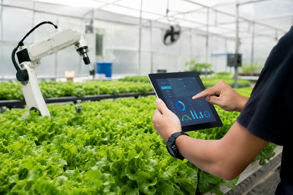 • N2 portal Savremena farma s robotizovanom opremom