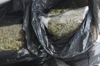 Kod Smedereva otkrivena ilegalna laboratorija za uzgoj marihuane