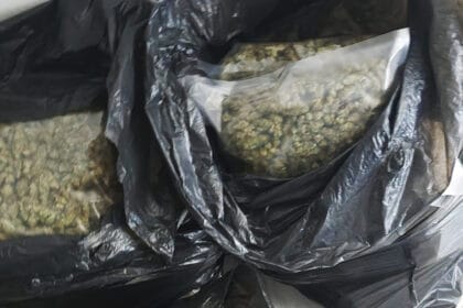 Kod Smedereva otkrivena ilegalna laboratorija za uzgoj marihuane