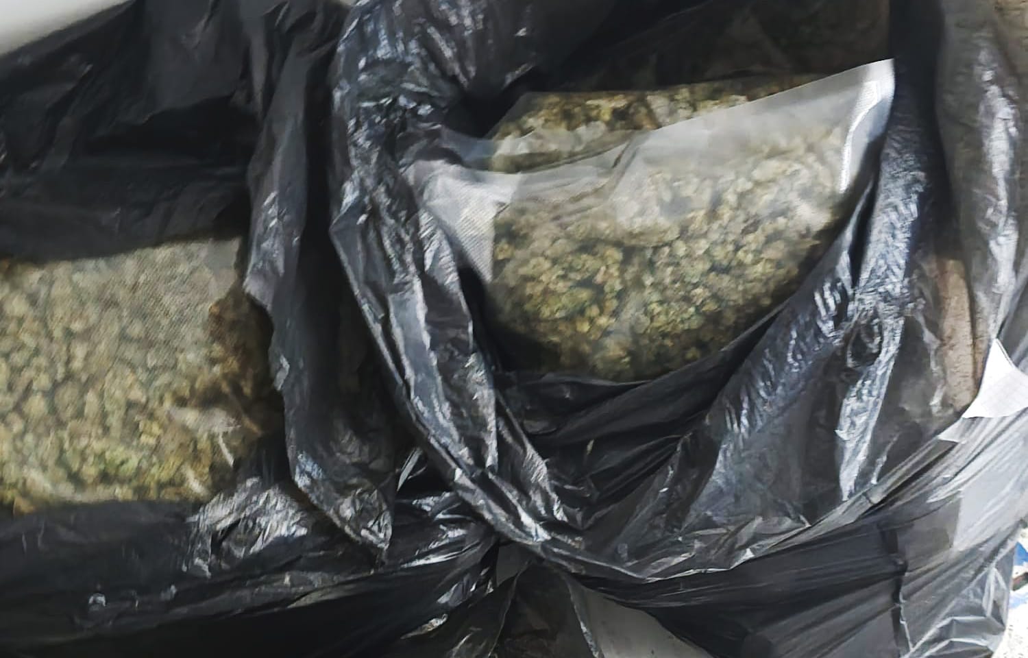 Kod Smedereva otkrivena ilegalna laboratorija za uzgoj marihuane