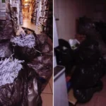 U sedištu Fonda PIO u Beogradu uništava se dokumentacija